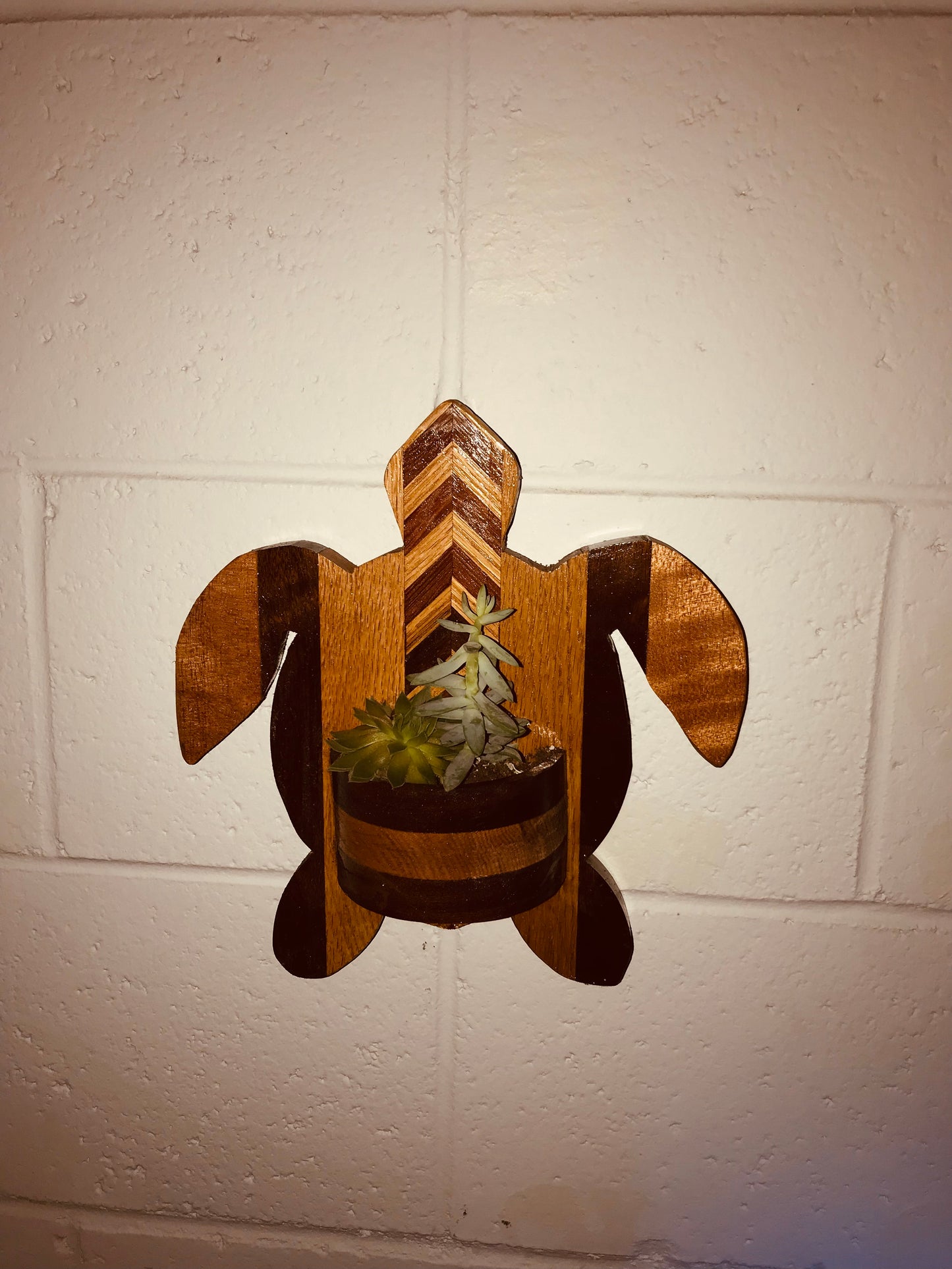 Sea Turtle Honu Succulent Wall Decor