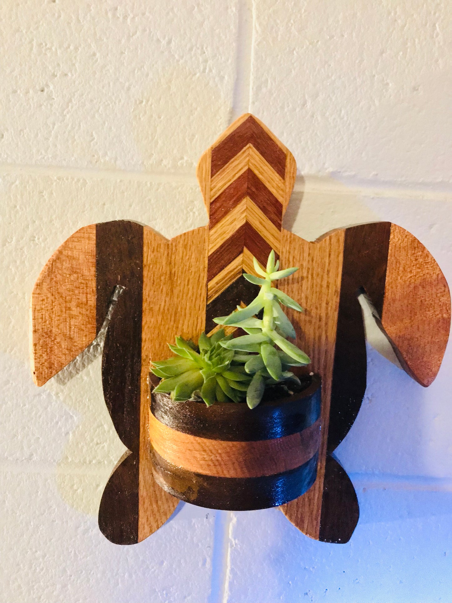 Sea Turtle Honu Succulent Wall Decor