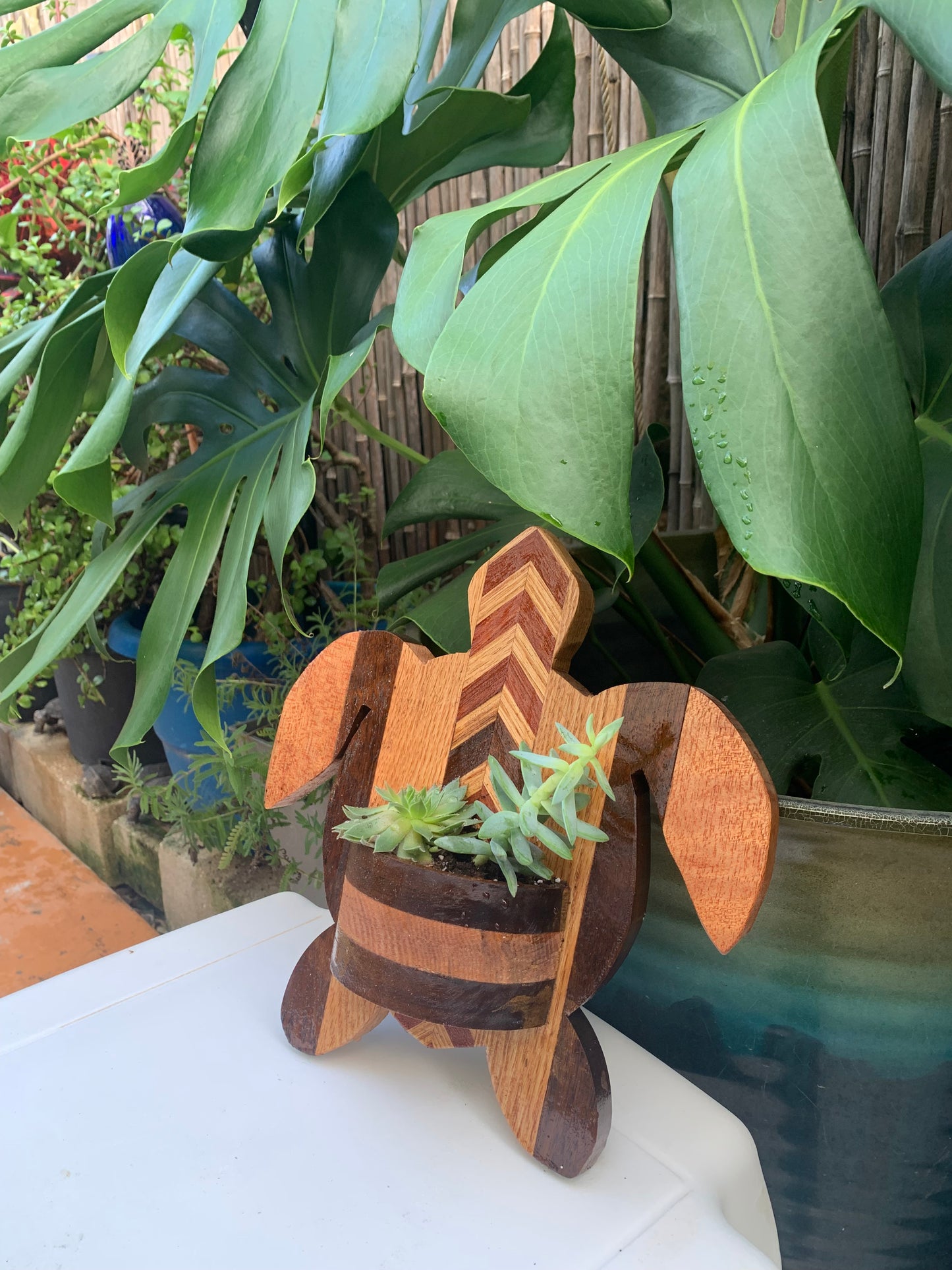 Sea Turtle Honu Succulent Wall Decor