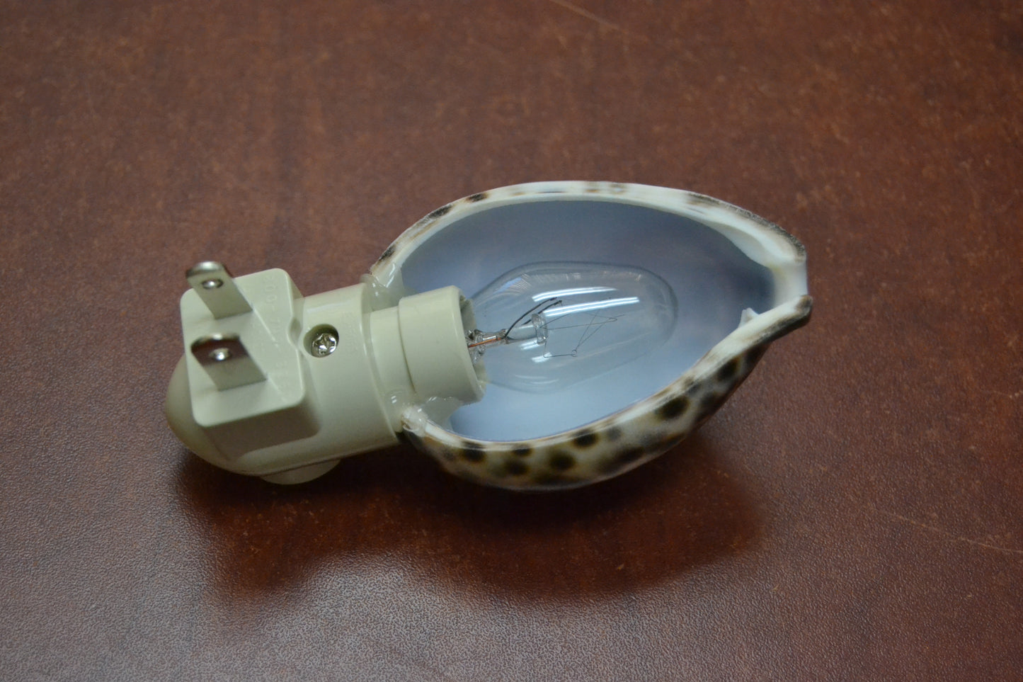 Carved Tiger Turtle Shell Nightlight
