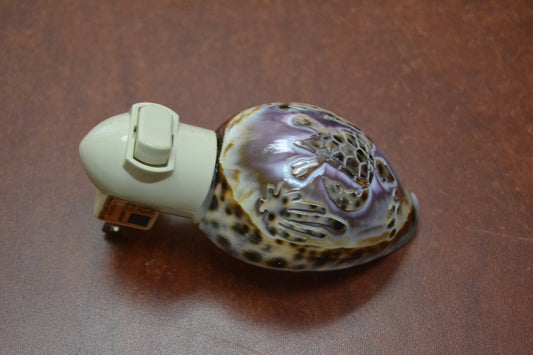 Carved Tiger Turtle Shell Nightlight